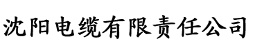 久久精品亚洲一区二区三区电缆厂logo